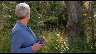 Stan Twitter: Jamie Lee Curtis looking back at Michael Myers in the woods