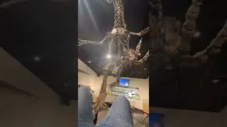 Underneath #Utahraptor: Biggest Raptor #Dinosaur