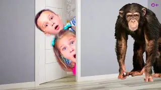 Адам и Алиса хотят нового питомца - Kids want new Pet | funny stories for children