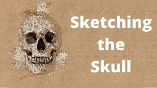 How to Draw a Skull in Procreate on the iPad