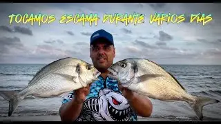 JORNADA a SURFCASTING pescando en el DELTA DEL EBRO