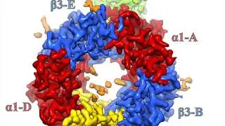 GABA-A receptor structural pharmacology