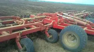 The first day of cultivation on K744r4 with KPM-14.
