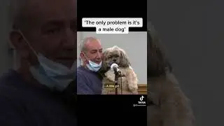 What's the dog's name? #shorts