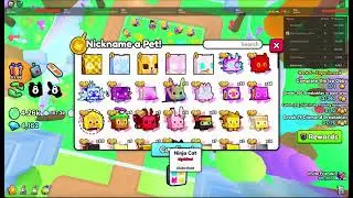 What Happens when you name a pet in PS99 Joe?