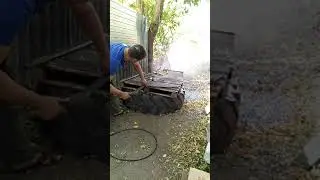 Чистим рыбу ведро за 5 минут!!!
