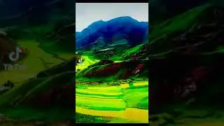 КУТМАН ТАНЫНАР МЕНЕН