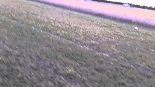Skydive Wissota Pumpkin Toss 2014 Part 2