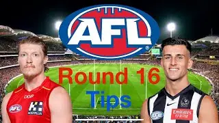 My 2024 AFL Round 16 Tips