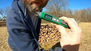 the best moisture meter that fits in your pocket