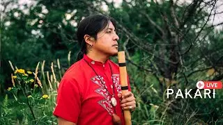 Pakari - Music for heal the soul (Meditation music) 🌓