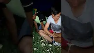 Үн деп ушуну айт!