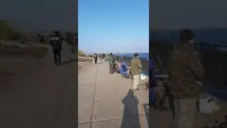 Ты ещё не ловишь Тарань?   