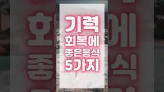 기력회복음식 5가지 건강에 진심이시라면 꼭 드셔보세요~!!