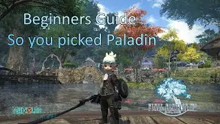 So you picked Paladin: FF14 Beginners Guide