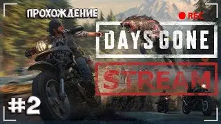 Days Gone - ПРОХОЖДЕНИЕ / СТРИМ #2