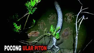 KAGET CAMPUR GEMETAR Melihat Ini Saat Nyuluh