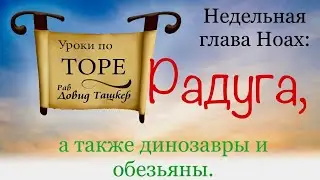 Радуга, а также динозавры и обезьяны. Глава ￼Ноах.