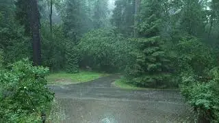 Долгожданная гроза. Дышите!