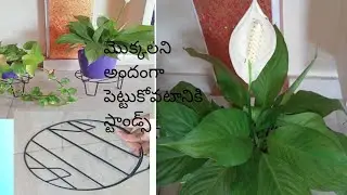 #గార్డెన్ అందంగా ఇలా organise చెయండి #stands for plants#stands#stands for garden#iron stands
