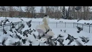 Дамир Калимуллин, свадьба Ленара и Зульфии (Свадебный клип 4к)