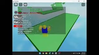 Roblox Time Trial Speedrun