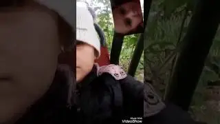 Грибы тает лёд.Мантирую ужасно!!!!
