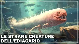 Before the Dinosaurs: The Mysteries of the Lost Age of Ediacaran Creatures | Documentary Terra