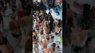 Party Boat in 
