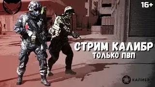 Стрим Калибр 🦊 Играем в ПВП