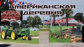 ЛЕС ГРИБЫ ОБЗОР БАЗАРА КАФЭ ДОМАШНЕЕ МОРОЖЕНОЕ В АМЕРИКАНСКОЙ ДЕРЕВНИ   США