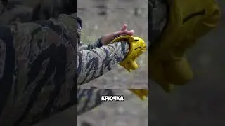 The Hardest Punch in the World 🤜💥🤯 