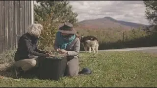 Retour aux sources | Partie 3 : La magie des plantes | L’histoire de notre traitement botanique