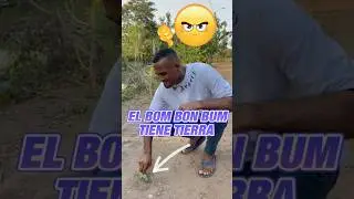 El bom bom bum 