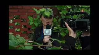 Сара Окс в роли журналистки нового сезона сериала След