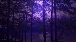 Satanic Warmaster  - Barbas X Aamon