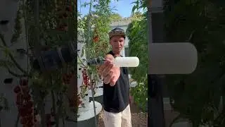 Horta hidropônica