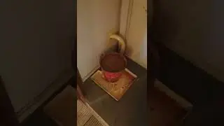 Нано туалет!