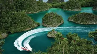 The Coral Reef of Raja Ampat - Biodiversity Documentary