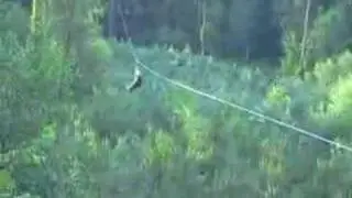 Go-Ape-Deano's Landing
