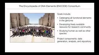 Encyclopedia of DNA Elements (ENCODE) Phase III - Zhiping Weng - ISCBacademy