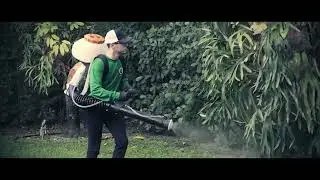 Mosquito Joe 2025