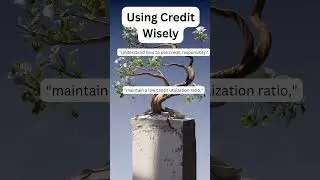 Credit Card Basics to Build Good Credit