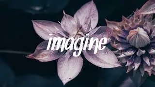 Avoure - Ray