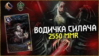 ВОДИЧКА СИЛАЧА И МИФ О БАГАХ МУЛЛИГАНА | СОВМЕСТНЫЙ ГАЙД ПО ГВИНТУ