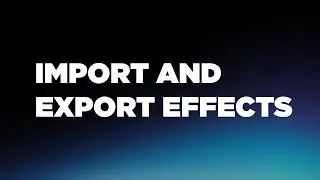 Import and Export Effects