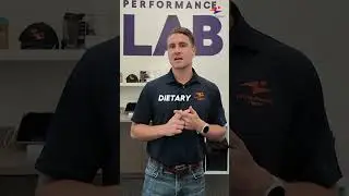 DEXA Scans Expose the Truth About Your Body 💪 