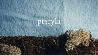 Novo Amor 565 Fund - 'Pteryla' by Novo Amor &  @Lowswimmer . Film by Robert Pereña