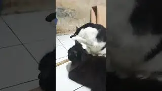 NENEK VS CUCU
