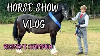 COME TO A HORSE SHOW WITH US - RESERVE CHAMPION
